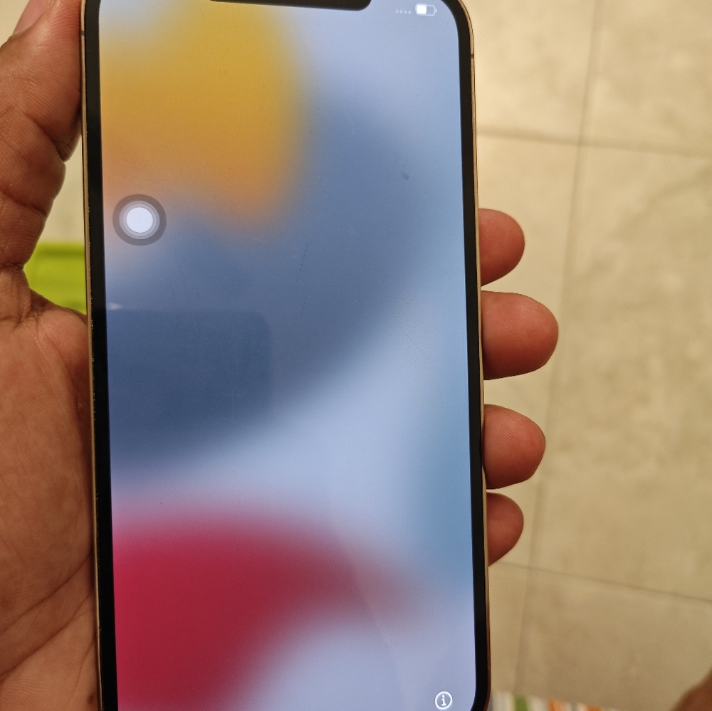 Iphone 12 Pro max 256gb or 500gb (don't remember well) is "IcloudLocked"